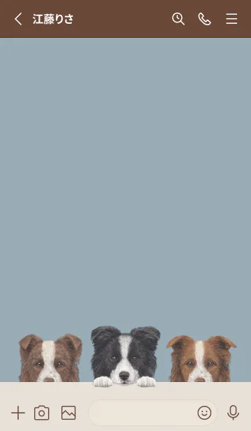 [LINE着せ替え] ワンワン-ボーダーコリー-ダスティブルーの画像2