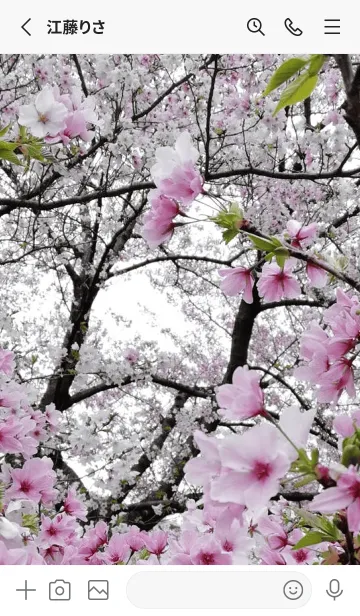 [LINE着せ替え] 行動しようp8-の画像2