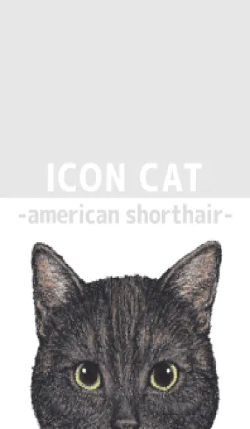 [LINE着せ替え] ICON CAT - アメショ - GRAY/03の画像1