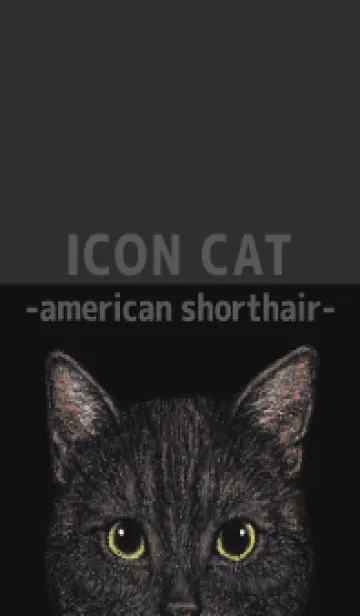 [LINE着せ替え] ICON CAT - アメショ - BLACK/03の画像1