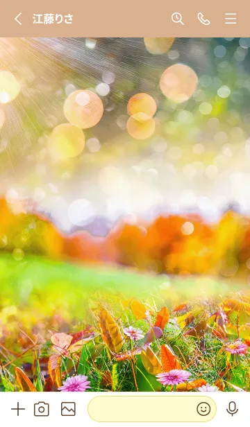 [LINE着せ替え] 優美な秋の風景の着せかえ(Autumn-23)の画像2