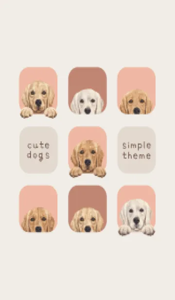 [LINE着せ替え] ゴールデンレトリバー - サーモンピンクの画像1