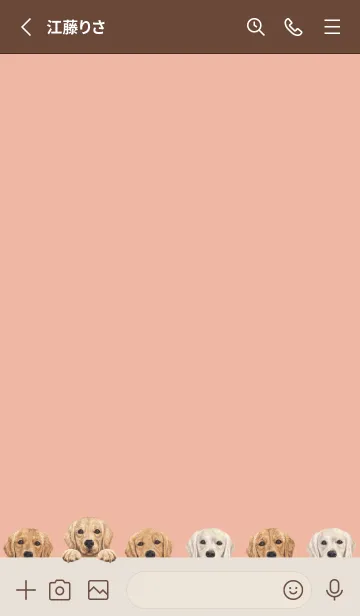 [LINE着せ替え] ゴールデンレトリバー - サーモンピンクの画像2