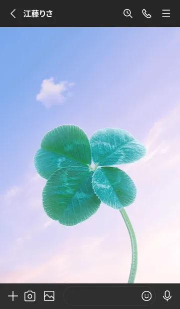 [LINE着せ替え] 本物ラッキークローバー 4-leaf #3-40の画像2