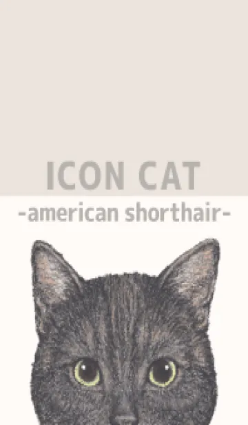 [LINE着せ替え] ICON CAT - アメショ - BEIGE/03の画像1