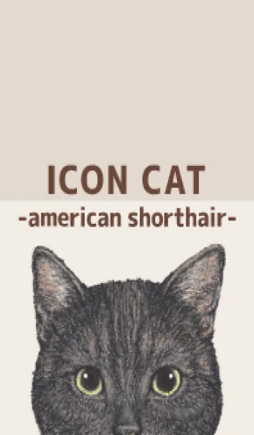 [LINE着せ替え] ICON CAT - アメショ - BROWN/03の画像1