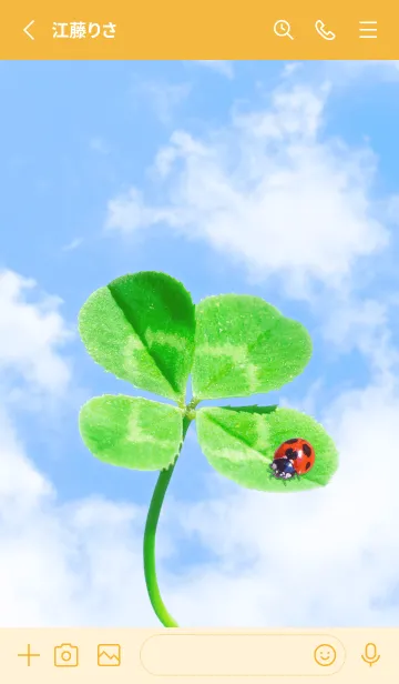 [LINE着せ替え] 本物ラッキークローバー+Ladybird #1-5の画像2
