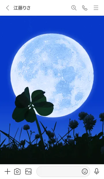 [LINE着せ替え] 七つ葉のクローバー & Full Moon #2-19の画像2