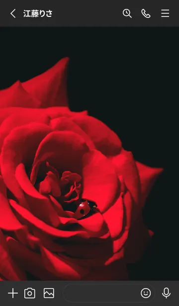 [LINE着せ替え] Ladybird Symbol of good luck #7-10の画像2