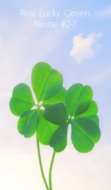 [LINE着せ替え] 本物ラッキークローバーズ Nestle #2-7の画像1