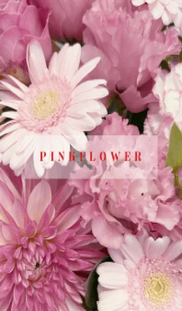 [LINE着せ替え] PINK FLOWER -NATURAL-12の画像1