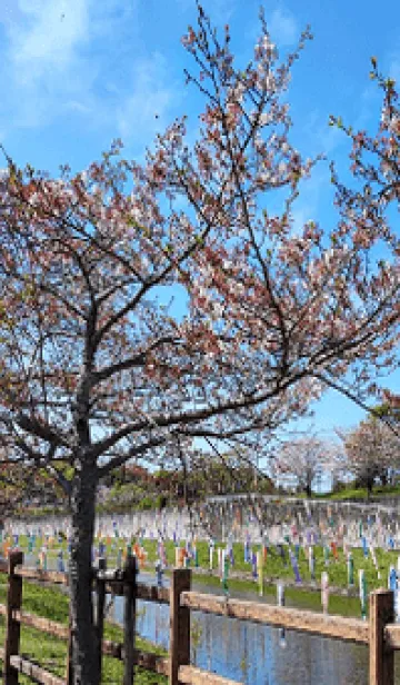 [LINE着せ替え] 最高の一日！Q#の画像1