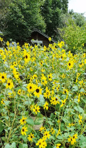 [LINE着せ替え] 最高の一日3HPの画像1