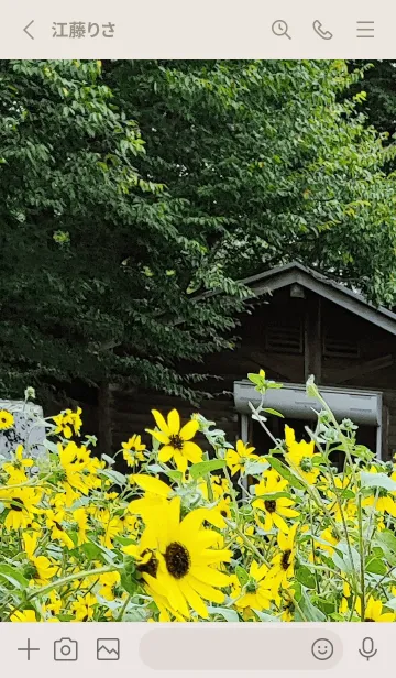 [LINE着せ替え] 最高の一日3HPの画像2