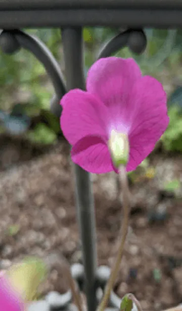 [LINE着せ替え] 最高の一日2Cvの画像1