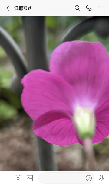 [LINE着せ替え] 最高の一日2Cvの画像2