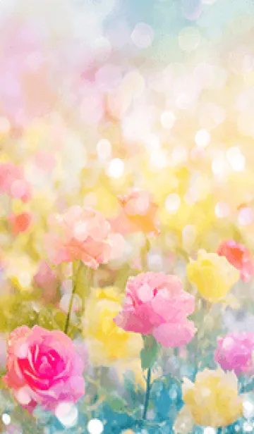 [LINE着せ替え] 薔薇(バラ)の花の着せかえ(4)の画像1