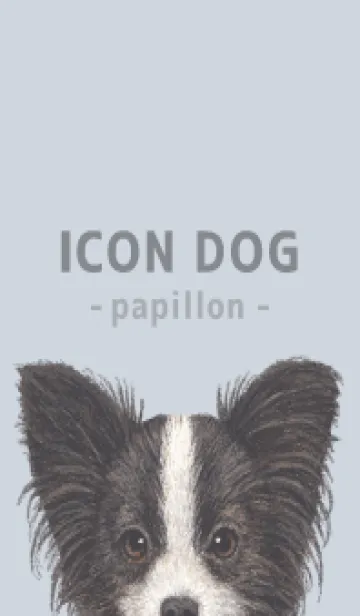 [LINE着せ替え] ICON DOG - パピヨン - PASTEL BL/01の画像1