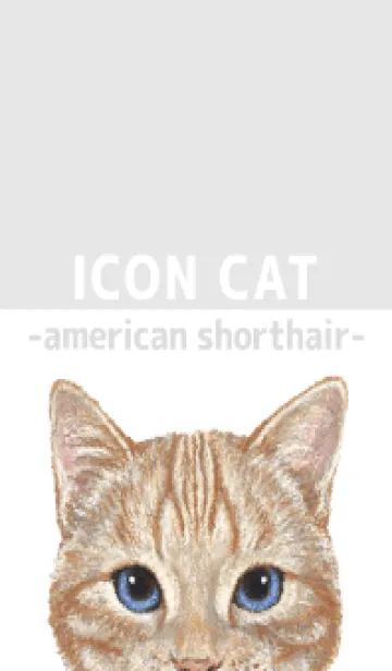 [LINE着せ替え] ICON CAT - アメショ - GRAY/04の画像1