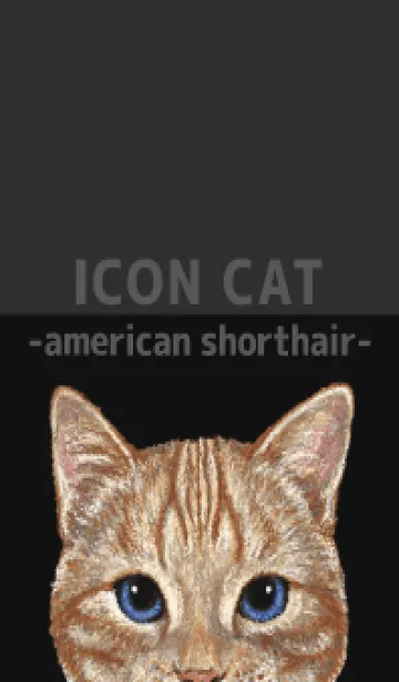 [LINE着せ替え] ICON CAT - アメショ - BLACK/04の画像1