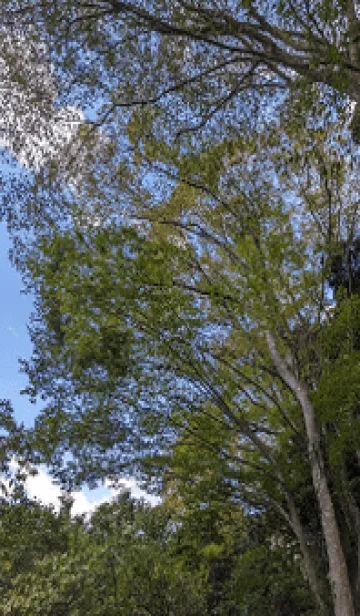 [LINE着せ替え] 最高の一日21yの画像1