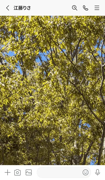 [LINE着せ替え] 最高の一日p？yの画像2