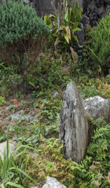 [LINE着せ替え] 最高の一日Q+qの画像1