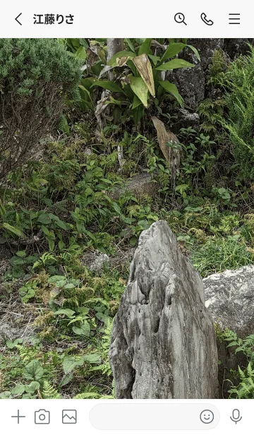 [LINE着せ替え] 最高の一日Q+qの画像2