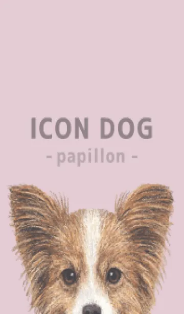 [LINE着せ替え] ICON DOG - パピヨン - PASTEL PK/02の画像1