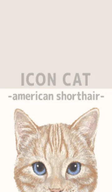 [LINE着せ替え] ICON CAT - アメショ - BEIGE/04の画像1