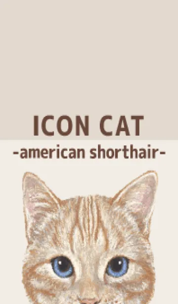 [LINE着せ替え] ICON CAT - アメショ - BROWN/04の画像1