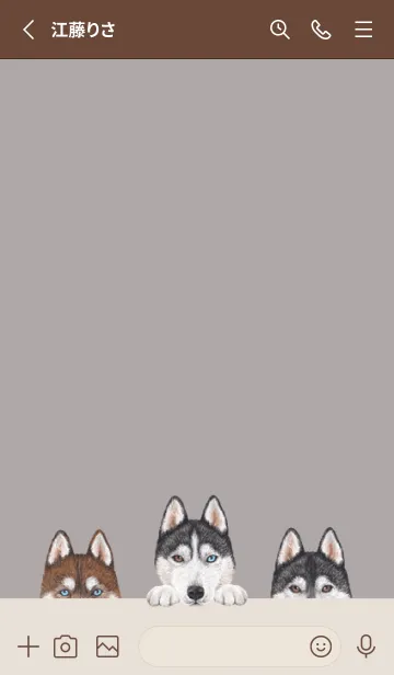 [LINE着せ替え] ワンワン！- シベリアンハスキー -灰色の画像2