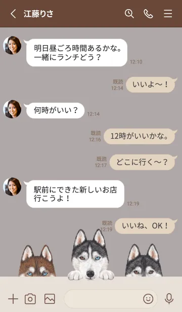 [LINE着せ替え] ワンワン！- シベリアンハスキー -灰色の画像3