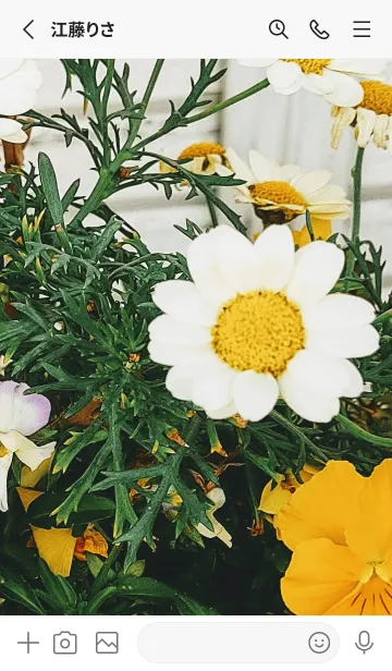 [LINE着せ替え] 最高の一日8,tの画像2