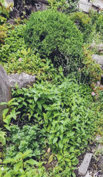 [LINE着せ替え] 最高の一日<GCの画像1