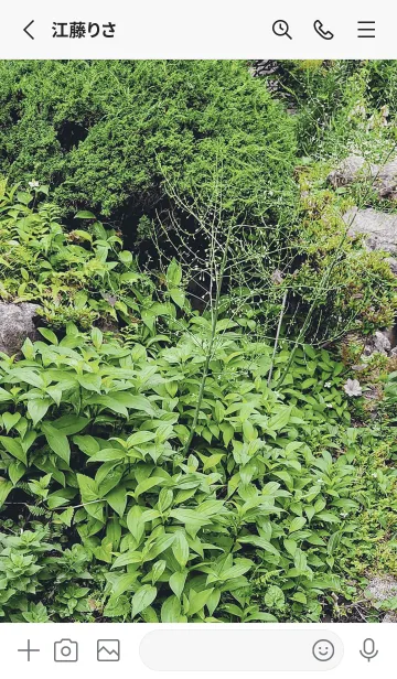 [LINE着せ替え] 最高の一日<GCの画像2