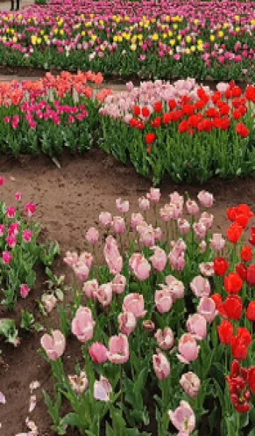 [LINE着せ替え] 最高の一日wgdの画像1