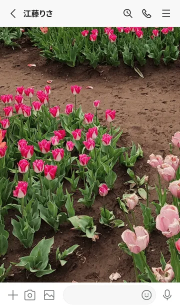 [LINE着せ替え] 最高の一日wgdの画像2