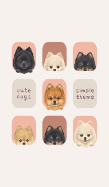 [LINE着せ替え] DOGS - ポメラニアン - サーモンピンクの画像1