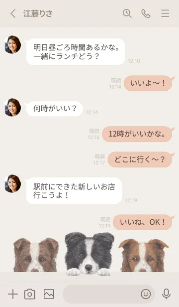 [LINE着せ替え] ボーダーコリー - パステルアイボリーの画像3