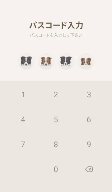 [LINE着せ替え] ボーダーコリー - パステルアイボリーの画像4