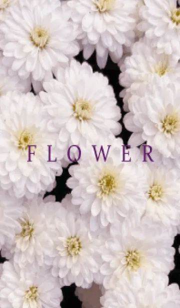 [LINE着せ替え] FLOWER -KIKU- 44の画像1