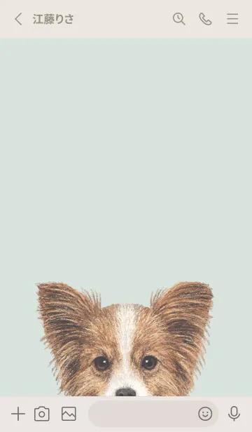 [LINE着せ替え] ICON DOG - パピヨン - PASTEL GR/02の画像2