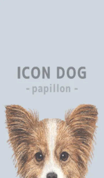 [LINE着せ替え] ICON DOG - パピヨン - PASTEL BL/02の画像1