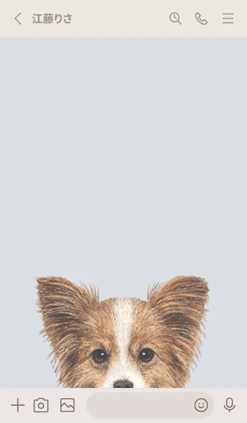 [LINE着せ替え] ICON DOG - パピヨン - PASTEL BL/02の画像2