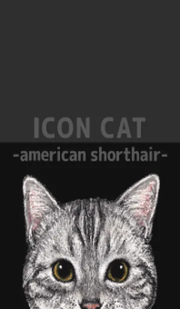 [LINE着せ替え] ICON CAT - アメショ - BLACK/05の画像1