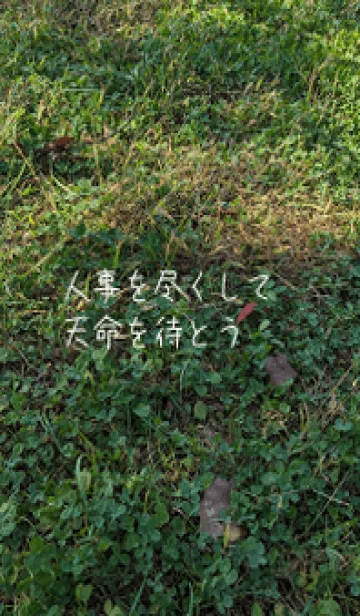 [LINE着せ替え] 最高の一日7YLの画像1