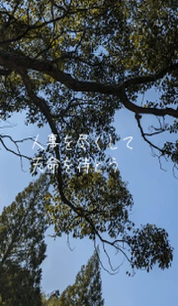 [LINE着せ替え] 最高の一日VhSの画像1