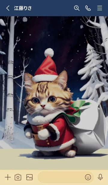 [LINE着せ替え] 猫サンタ☆メリークリスマス☆の画像2