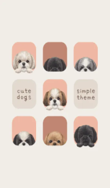 [LINE着せ替え] DOGS - シーズー - サーモンピンクの画像1